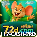 pg117 Cash Pro